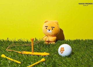 카카오VX, 계열사 테인스밸리 흡수합병