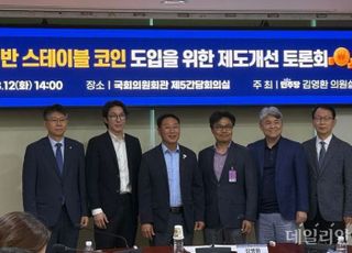 "원화 스테이블코인 수요 미지수…韓 실정 맞는 법제화 필요"