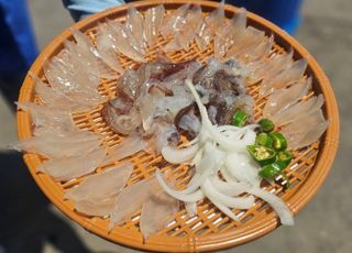 "더 안 시킬거면서 무슨 초장이야" 속초 오징어 난전 또 논란