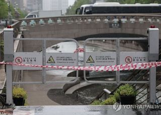 [속보] 서울 호우로 하천 29곳·증산교 하부도로 통제