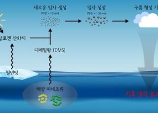 북극, 지구온난화 스스로 늦춘다…증가한 미세조류가 태양 반사