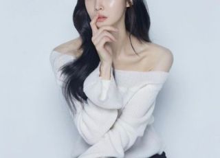 팬 돈 갚지 않은 티아라 전 멤버 아름…항소심도 징역형 집유