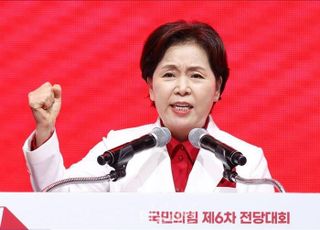 양향자 "적이 원하는 판에서 싸우지 말라…'윤어게인'으로 이길 수 있나" [수도권·강원·제주 합동연설회]