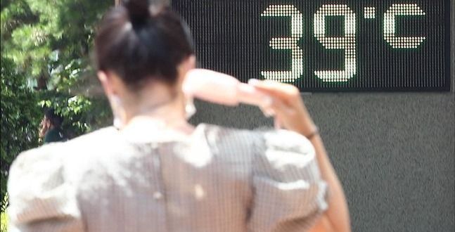 "입추 매직 없었다" 서울, 9일 만에 다시 '폭염특보'