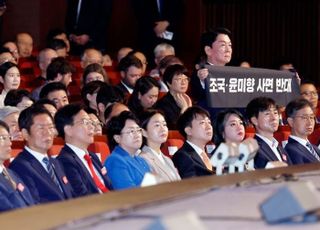 안철수, 與 '정치쇼' 공세에 "'李대통령 매국사면 옹호 앞잡이'에겐 정의봉이 약"