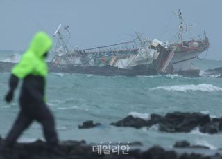 거친 바다, 목숨보다 소중한 건 없다…‘어선원 안전감독관’ 주목 [D:로그인]