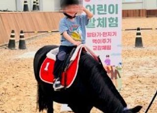 경기도, 어린이 말 체험 내달 재개…전액 무료