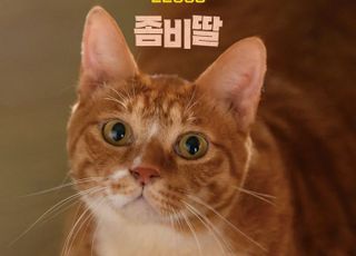 '좀비딸' 원작자 "슈퍼 IP 비결? 애용이 지분이 9할"