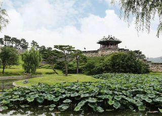 빛·물·소리가 어우러지는 수상공연 '선유몽', 수원화성문화제에서 선봬