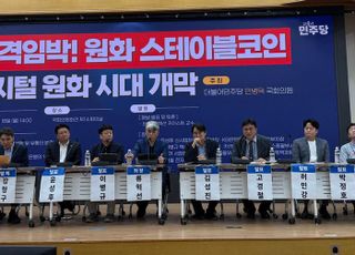 "송금·콘텐츠 결제·소비쿠폰…원화 스테이블코인, 실사용처 확보가 핵심"