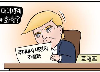 李정부 첫 주미대사 강경화 내정… '강경 or 화합'? 대미 전략은? [D-시사만평]