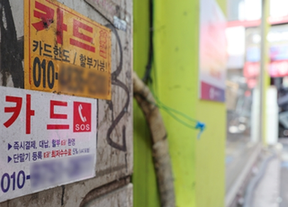 카드사, 하반기 더 힘들다…실적 추락에 정책 부담 겹겹이
