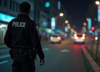 미국에서도 '교제 살인'…70대 한인, 동거女에 총격 '살해'
