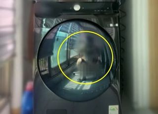 중고 세탁기 사진에 알몸男이? "싸게 사려다가 험한 꼴을..." 