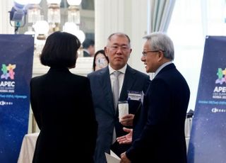 현대차그룹, 美에 50억 달러 더 얹는다... 4년간 36조 투자