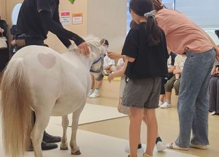 [D:로그인] “한 번 더 만져봐도 돼요?”…포니와 친해진 아이들 첫 체험 [돌봄승마 시동②]