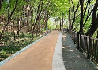 서울 종로구, 숭인공원 맨발산책로 조성…9월1일 개장