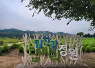 연천군, 중면 임진강 댑싸리 정원 개장
