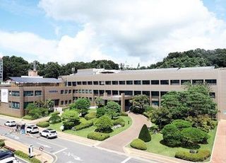 파주시, 파주~개성 DMZ 국제평화마라톤대회 대북 접촉 승인..본격 추진