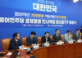 민주당, 배임죄 완화 본격 추진…경제형벌 합리화 TF 출범