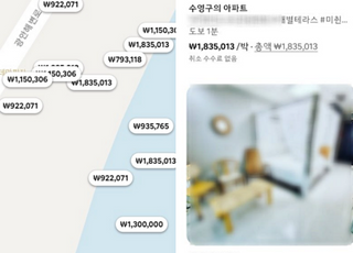 1박에 183만원, 5배 폭리…'부산 불꽃축제' 시끌시끌