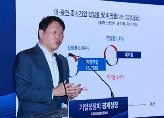 최태원 대한상의 회장 "기업 성장 막는 규제 철폐해야"