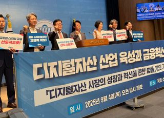 이강일 의원, 디지털자산혁신법 공개…스테이블코인·가상자산 발행 법제화 추진