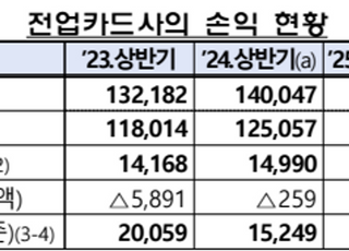 카드사 상반기 순이익 18% 감소…비카드 여전사는 15% 증가