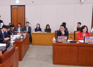 국회법 위반 논란 속…'더 센 특검법' 또 법사위 통과 당했다