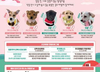 반려견과 함께하는 교감여행…농식품부 ‘댕댕여행’ 개최