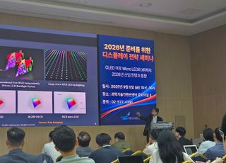기술은 선두인데... '세트 약화·노동 규제'가 불안 키우는 K-디스플레이