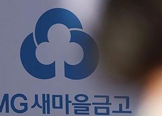 관리 사각지대에서 금융 정상화로…새마을금고의 소관 부처 이관 필요