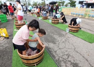 제11회 화성송산포도축제 성황리에 개최…흐린 날씨에도 시민 발길 이어져