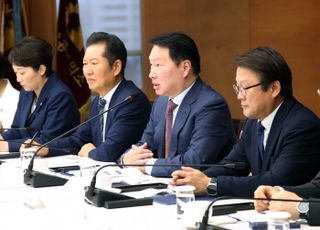 최태원, 민주당에 "기업 규모별 차등 규제 많아…현 시스템 개선해야"