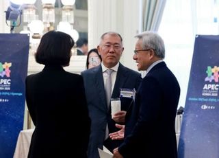 "그렇게 애썼는데"… 미국 가는 정의선 '조지아 현대차 사태' 추가조치 내놓나