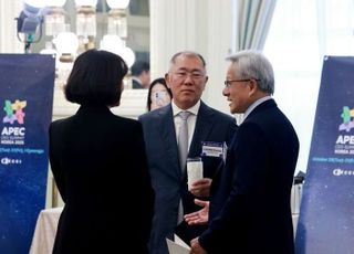 "그렇게 애썼는데"…현대차, '조지아 구금 사태' 최소화 추가조치 행보는?