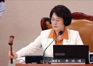국민의힘, 추미애 상대 '권한쟁의심판' 청구…"심의·표결권 침해는 위헌"