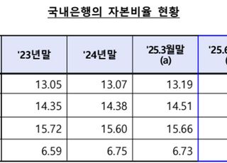 2분기 은행권 보통주자본비율 상승…불확실성 속 안정세