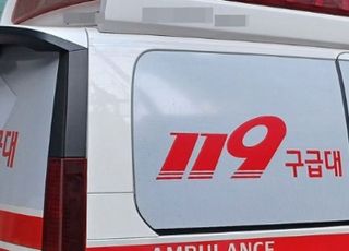 "멧돼지인 줄"…전남 장흥 야산서 동료가 쏜 엽총에 맞아 60대 남성 사망