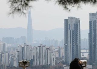 연이은 대출 규제에 불안감 커지는 실수요자…집값 초양극화 우려도 [9.7 주택공급대책]