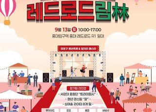 서울 마포구, 13일 홍대 레드로드서 청년축제·일자리페스타 개최