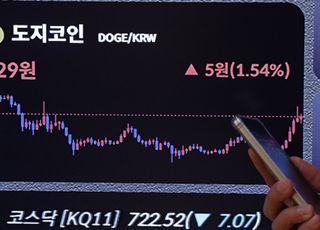 美 기업들, 알트코인까지 사 모은다