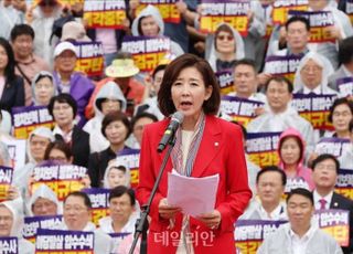 나경원 "국민의힘 대표도 개딸·민주당이 뽑을 판…'개딸 주권정부'인가"