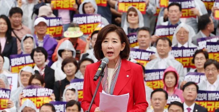 나경원 "국민의힘 대표도 개딸·민주당이 뽑을 판…'개딸 주권정부'인가"