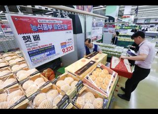 먹거리 가격 고공행진...정부, 추석 물가 잡는다