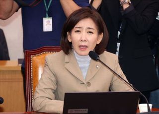 희대의 야당 간사 선임안 투표…국민의힘 "나경원 부결, 전횡의 놀이터"