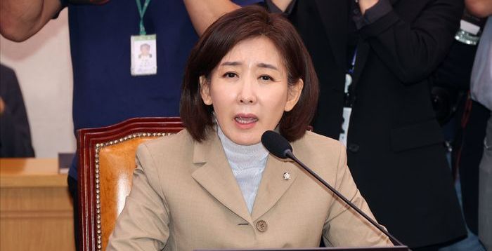 희대의 야당 간사 선임안 투표…국민의힘 "나경원 부결, 전횡의 놀이터"