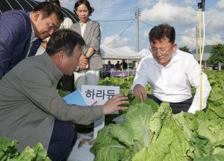 이승돈 농진청장, 남원 준고랭지 여름배추 재배지 방문