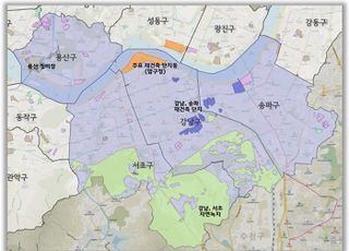 강남3구·용산 ‘토허제’ 내년 말까지 연장…“실수요자 보호 조치”