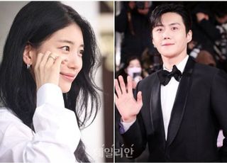 쓰레기 무단 투기 ‘현혹’ 제작사, 100만원 과태료 처분